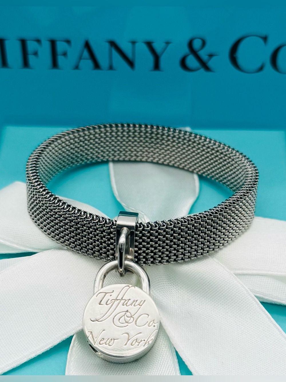 Tiffany & Co. Retired Silver Notes Round Charm Stainless Steel Stretch Bracelet